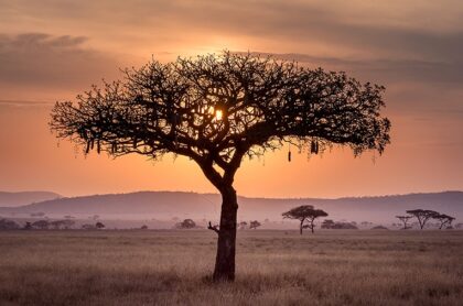 Coaching Across Boundaries: Lessons from South Africa for Europe 2