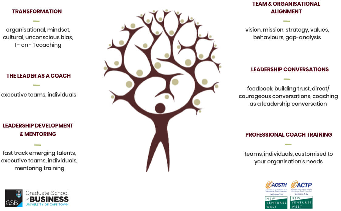 Enabling dynamic leadership