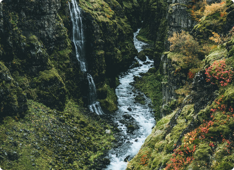 Leader as Coach / Mentoring / Resilience