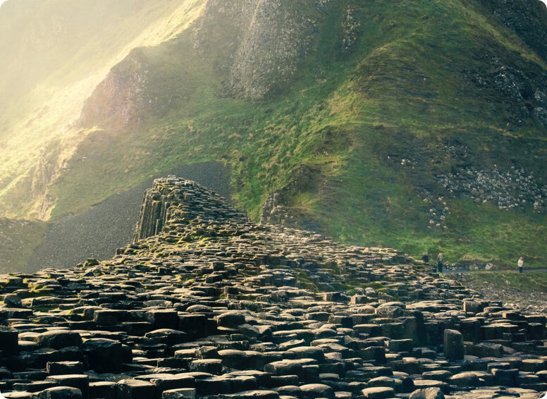 Professional Coaching Course